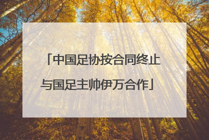 中国足协按合同终止与国足主帅伊万合作