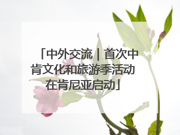 中外交流｜首次中肯文化和旅游季活动在肯尼亚启动