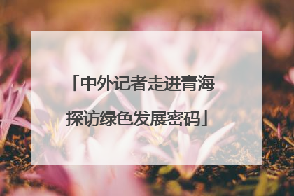 中外记者走进青海 探访绿色发展密码