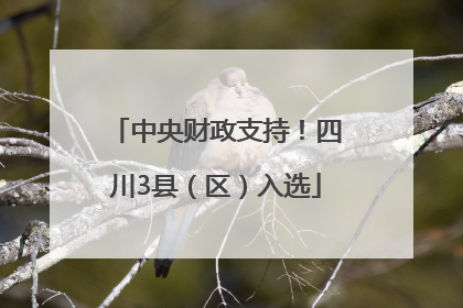 中央财政支持！四川3县（区）入选