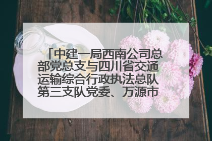 中建一局西南公司总部党总支与四川省交通运输综合行政执法总队第三支队党委、万源市草坝镇莲花院村党支部开展党建联建
