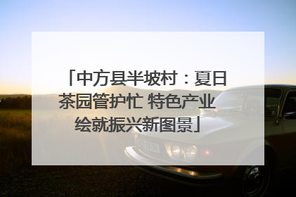 中方县半坡村：夏日茶园管护忙 特色产业绘就振兴新图景