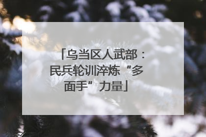 乌当区人武部：民兵轮训淬炼“多面手”力量