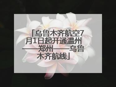 乌鲁木齐航空7月1日起开通温州——郑州——乌鲁木齐航线