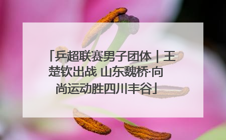 乒超联赛男子团体｜王楚钦出战 山东魏桥·向尚运动胜四川丰谷