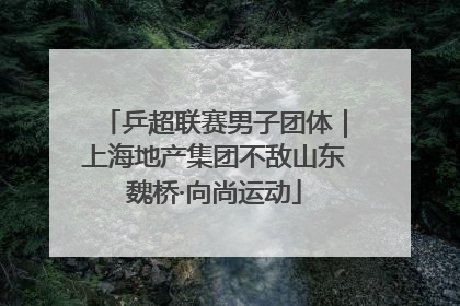乒超联赛男子团体｜上海地产集团不敌山东魏桥·向尚运动