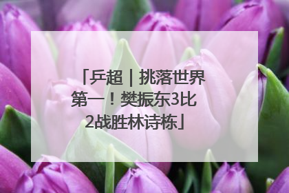 乒超｜挑落世界第一！樊振东3比2战胜林诗栋