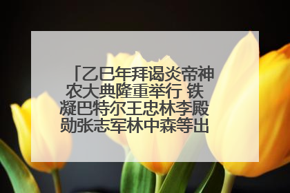 乙巳年拜谒炎帝神农大典隆重举行 铁凝巴特尔王忠林李殿勋张志军林中森等出席 孙伟主持
