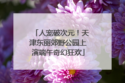 人宠破次元！天津东丽郊野公园上演端午奇幻狂欢