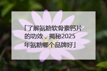 了解氨糖软骨素钙片的功效，揭秘2025年氨糖哪个品牌好