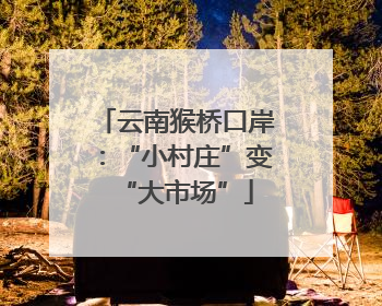 云南猴桥口岸：“小村庄”变“大市场”