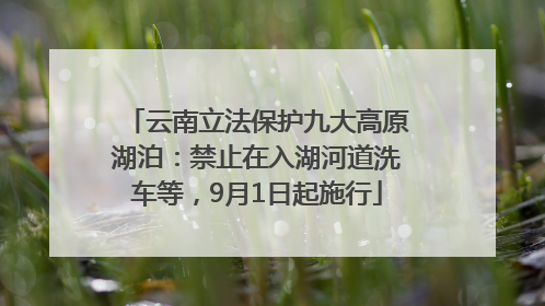 云南立法保护九大高原湖泊：禁止在入湖河道洗车等，9月1日起施行