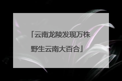 云南龙陵发现万株野生云南大百合