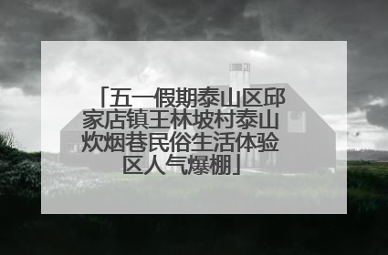 五一假期泰山区邱家店镇王林坡村泰山炊烟巷民俗生活体验区人气爆棚