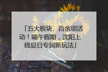 五大板块、百余项活动！端午假期，沈阳上线夏日专属新玩法