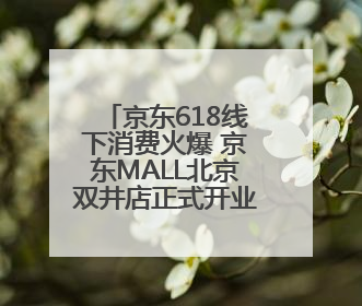 京东618线下消费火爆 京东MALL北京双井店正式开业 掀起全城打卡热潮