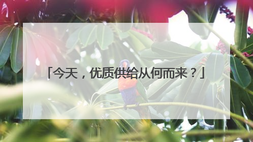 今天，优质供给从何而来？