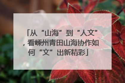 从“山海”到“人文”，看嵊州青田山海协作如何“文”出新精彩
