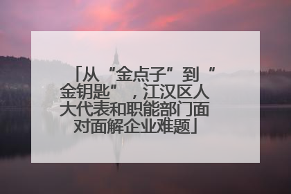 从“金点子”到“金钥匙”，江汉区人大代表和职能部门面对面解企业难题