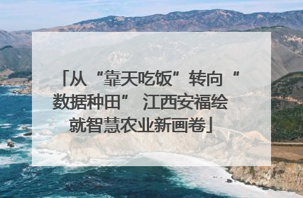 从“靠天吃饭”转向“数据种田” 江西安福绘就智慧农业新画卷