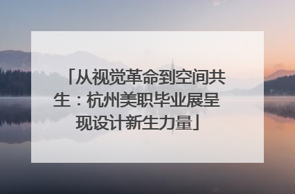 从视觉革命到空间共生：杭州美职毕业展呈现设计新生力量