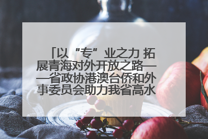 以“专”业之力 拓展青海对外开放之路——省政协港澳台侨和外事委员会助力我省高水平开放和高质量发展
