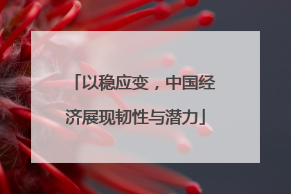 以稳应变，中国经济展现韧性与潜力