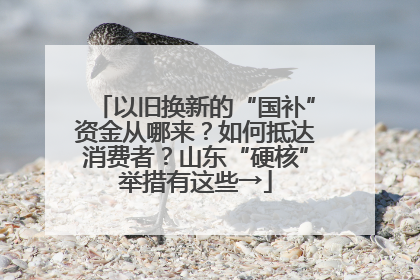 以旧换新的“国补”资金从哪来？如何抵达消费者？山东“硬核”举措有这些→