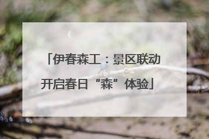 伊春森工：景区联动开启春日“森”体验