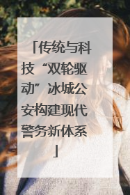 传统与科技“双轮驱动”冰城公安构建现代警务新体系