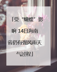 受“蝴蝶”影响 14日海南省仍有强风雨天气过程