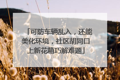可防车辆乱入，还能美化环境，社区胡同口上新花箱巧解难题