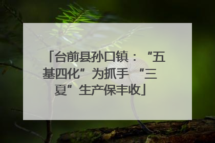 台前县孙口镇：“五基四化”为抓手 “三夏”生产保丰收