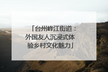 台州峰江街道：外国友人沉浸式体验乡村文化魅力