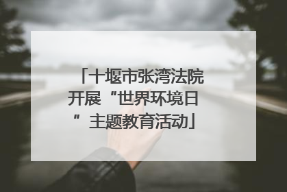 十堰市张湾法院开展“世界环境日”主题教育活动