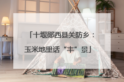 十堰郧西县关防乡：玉米地里话“丰”景