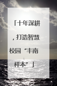 十年深耕，打造智慧校园“丰南样本”