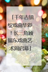 千年古镇绽戏曲华彩！长三角顾锡东戏曲艺术周启幕