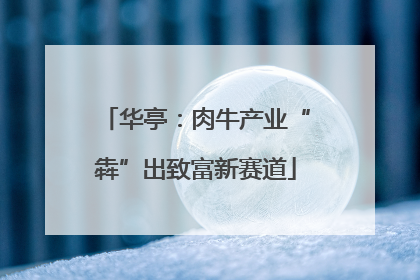 华亭：肉牛产业“犇”出致富新赛道