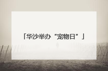 华沙举办“宠物日”