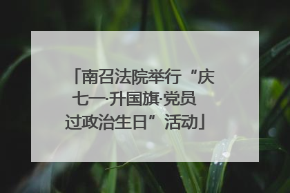 南召法院举行“庆七一·升国旗·党员过政治生日”活动