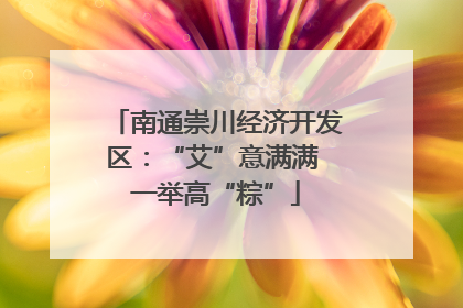 南通崇川经济开发区：“艾”意满满 一举高“粽”