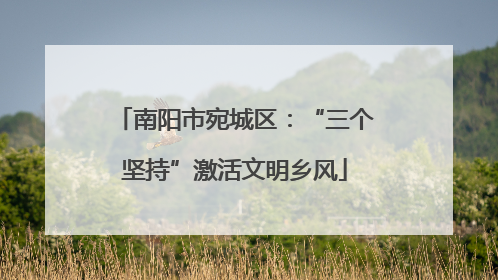 南阳市宛城区：“三个坚持”激活文明乡风