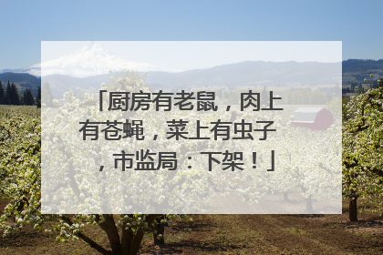 厨房有老鼠，肉上有苍蝇，菜上有虫子，市监局：下架！