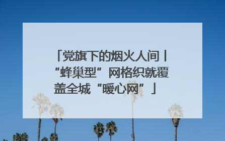 党旗下的烟火人间丨“蜂巢型”网格织就覆盖全城“暖心网”