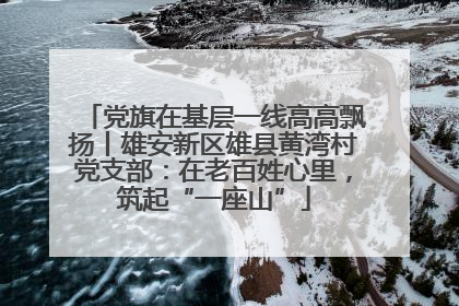 党旗在基层一线高高飘扬丨雄安新区雄县黄湾村党支部：在老百姓心里，筑起“一座山”