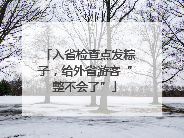 入省检查点发粽子，给外省游客“整不会了”