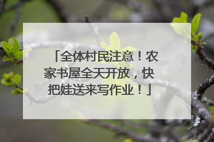 全体村民注意！农家书屋全天开放，快把娃送来写作业！