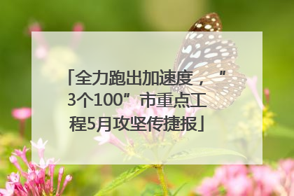 全力跑出加速度，“3个100”市重点工程5月攻坚传捷报