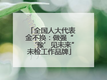 全国人大代表金不换：做强“‘豫’见未来”未检工作品牌